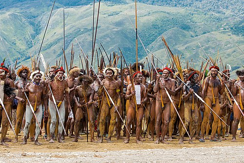 Papuan peoples